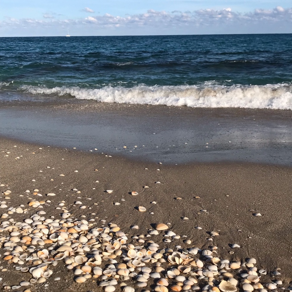 Meet your Posher, Quinn